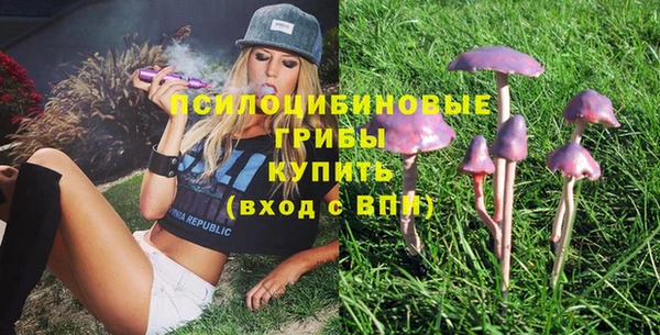 стаф Абинск