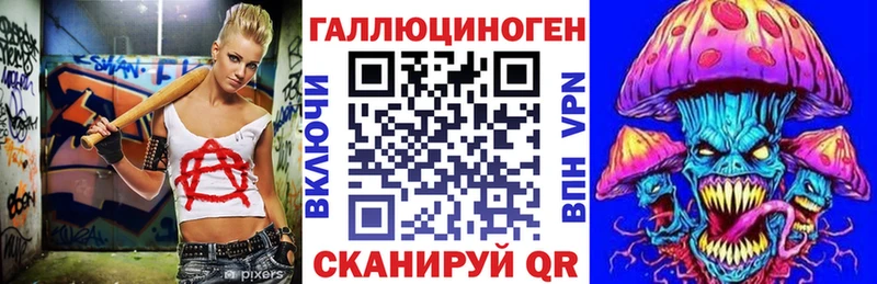 Галлюциногенные грибы Psilocybine cubensis  OMG ссылки  Железногорск-Илимский 